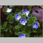 20070312 12.jpg